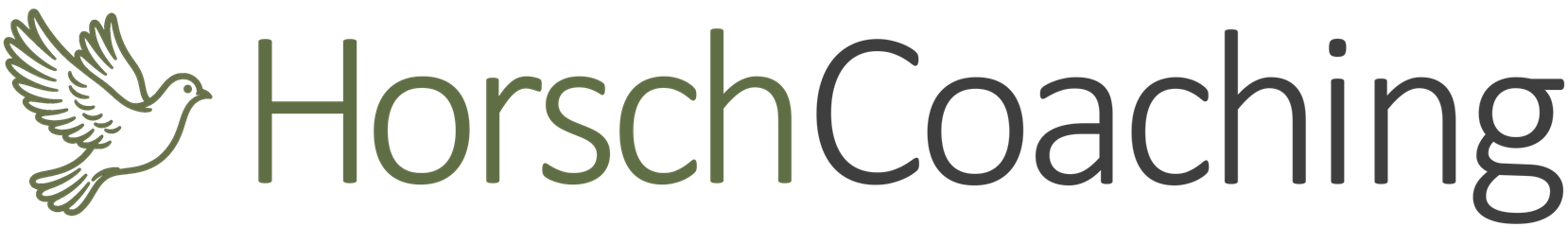 Horsch Coaching